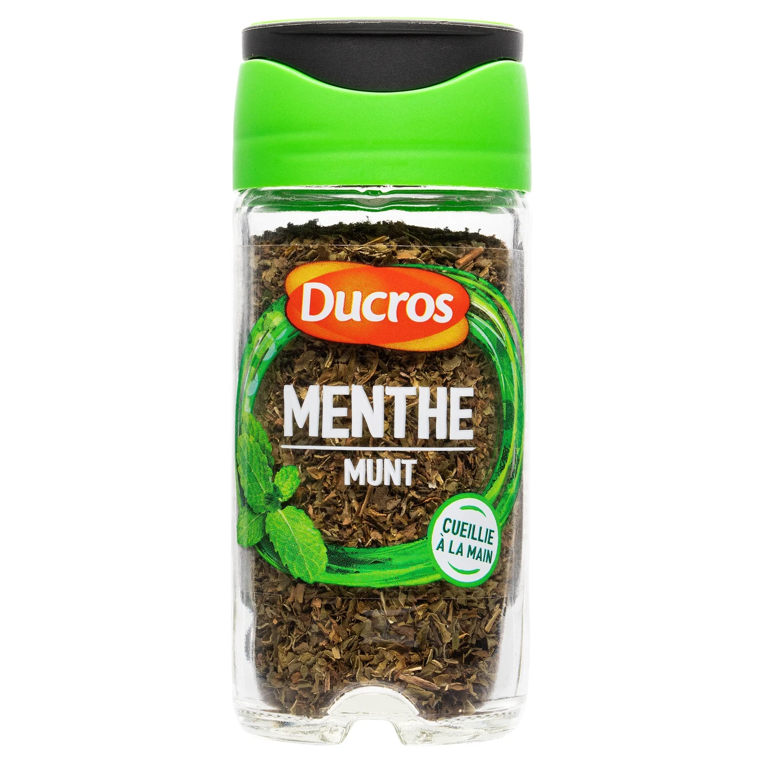 Menthe moulue Ducros